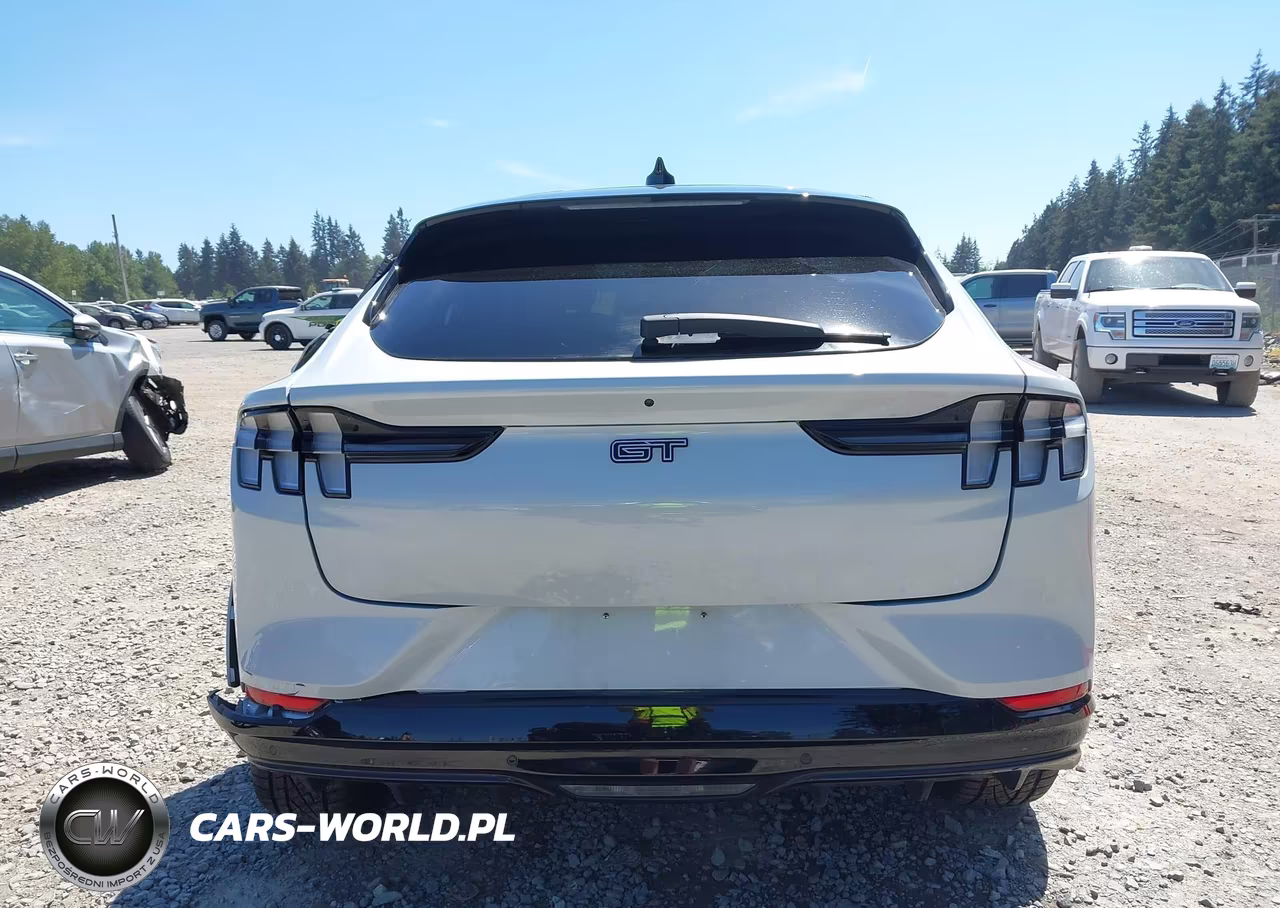 2021 Ford Mustang Mach-E Gt VIN:3FMTK4SX0MME00048 - 16