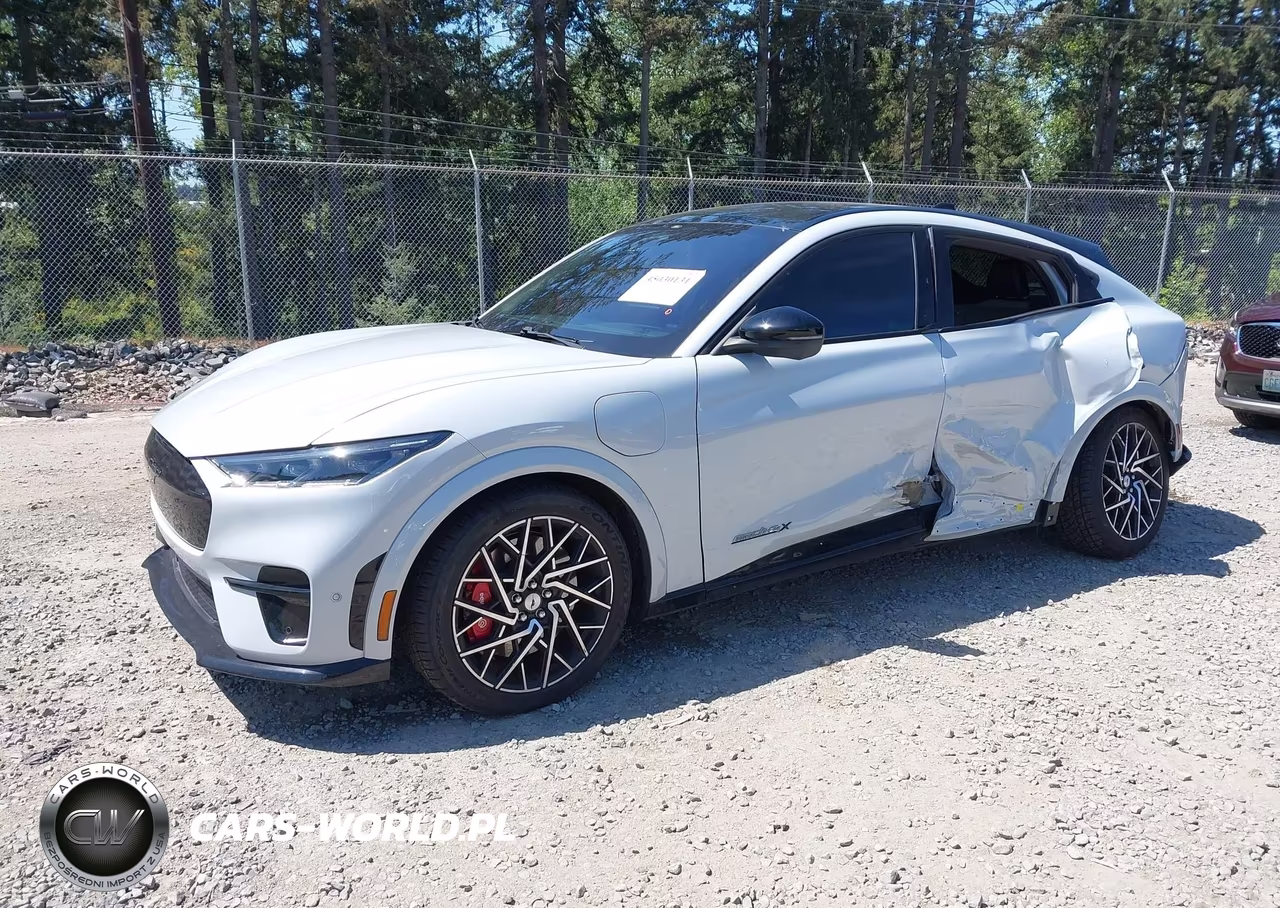 2021 Ford Mustang Mach-E Gt VIN:3FMTK4SX0MME00048 - 2