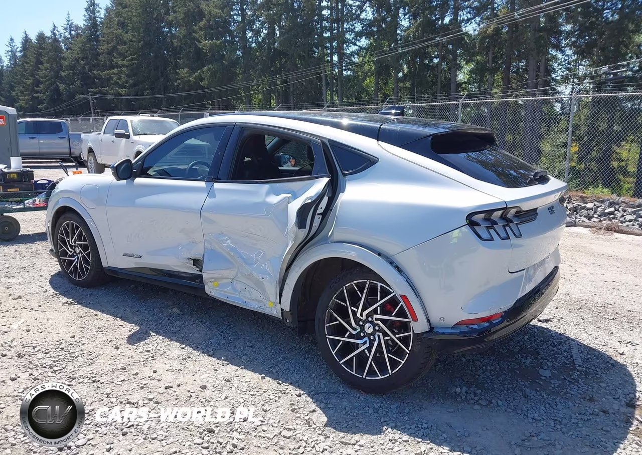 2021 Ford Mustang Mach-E Gt VIN:3FMTK4SX0MME00048 - 3