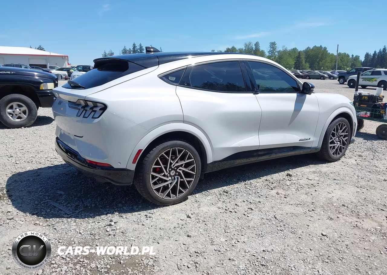 2021 Ford Mustang Mach-E Gt VIN:3FMTK4SX0MME00048 - 4