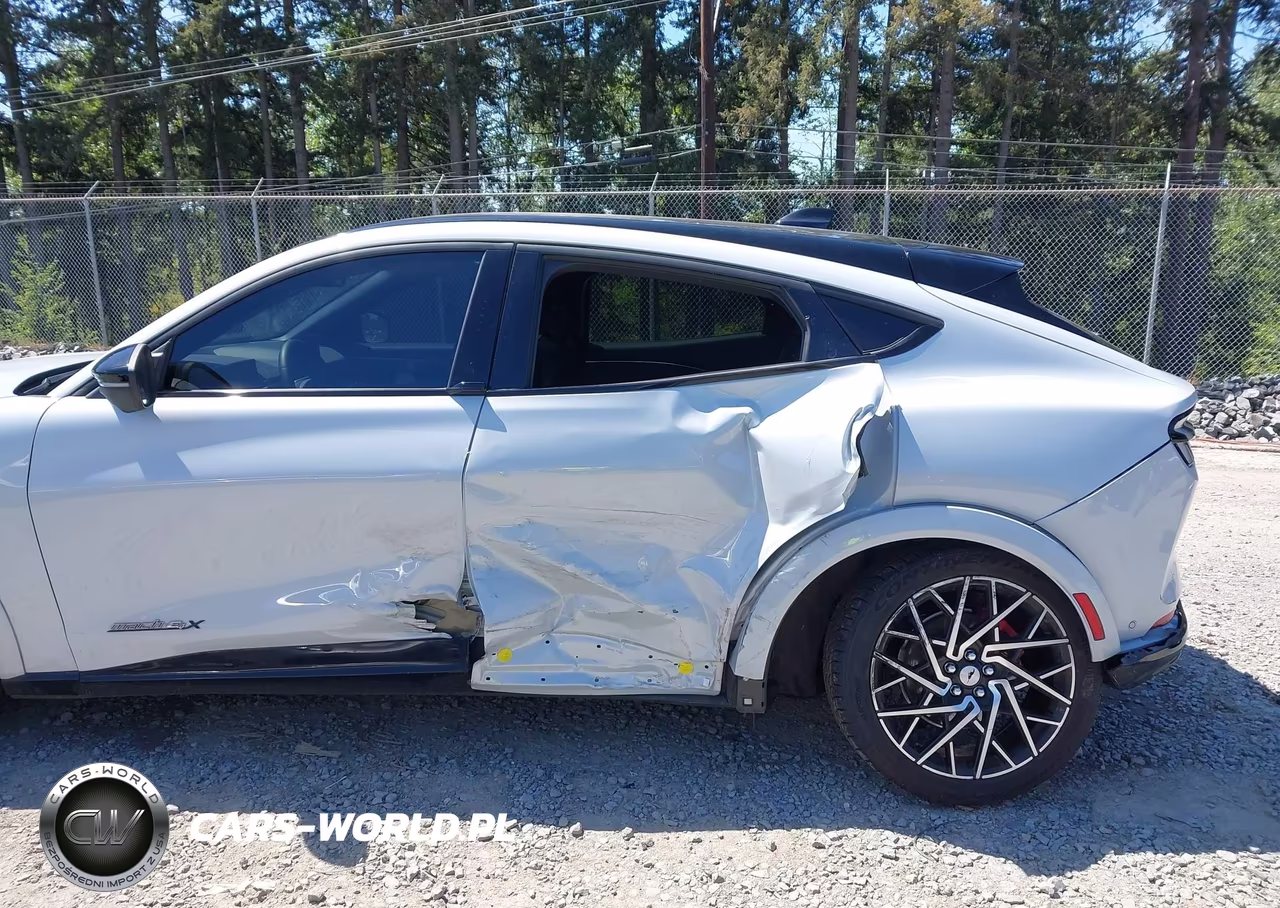 2021 Ford Mustang Mach-E Gt VIN:3FMTK4SX0MME00048 - 6