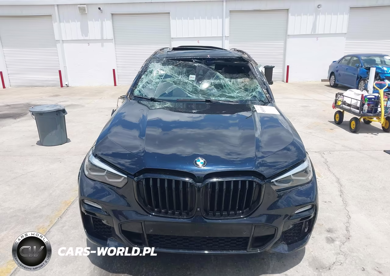 2021 BMW X5 Sdrive40I VIN:5UXCR4C06M9H74004 - 13