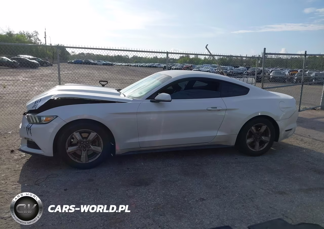 2017 Ford Mustang V6 VIN:1FA6P8AM9H5236656 - 15