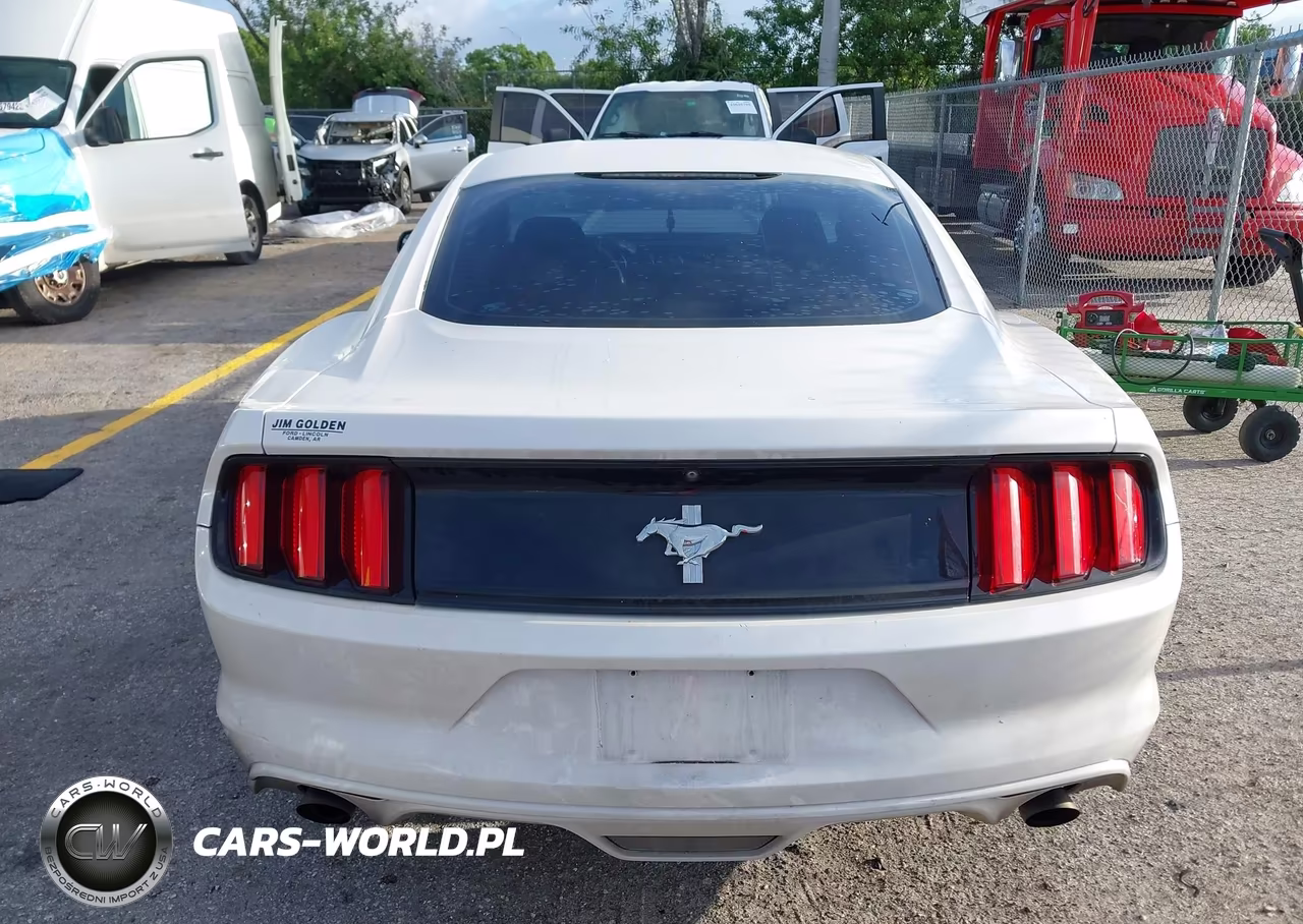 2017 Ford Mustang V6 VIN:1FA6P8AM9H5236656 - 17