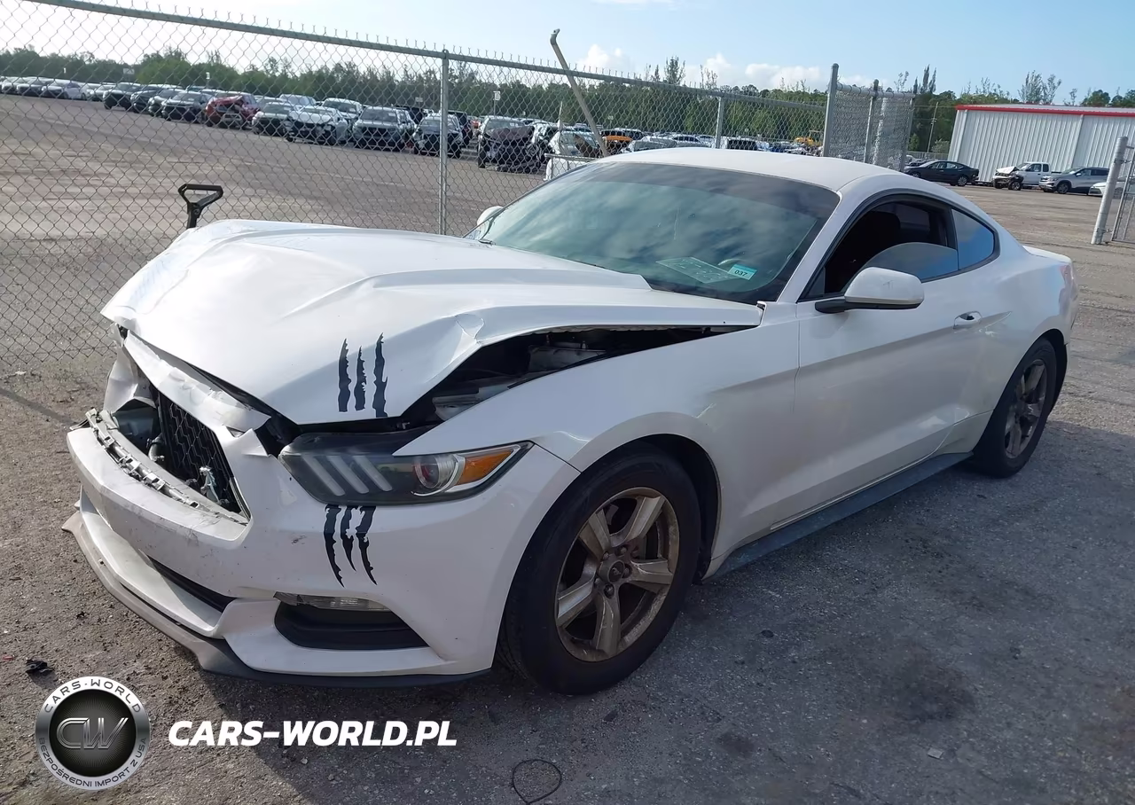 2017 Ford Mustang V6 VIN:1FA6P8AM9H5236656 - 2
