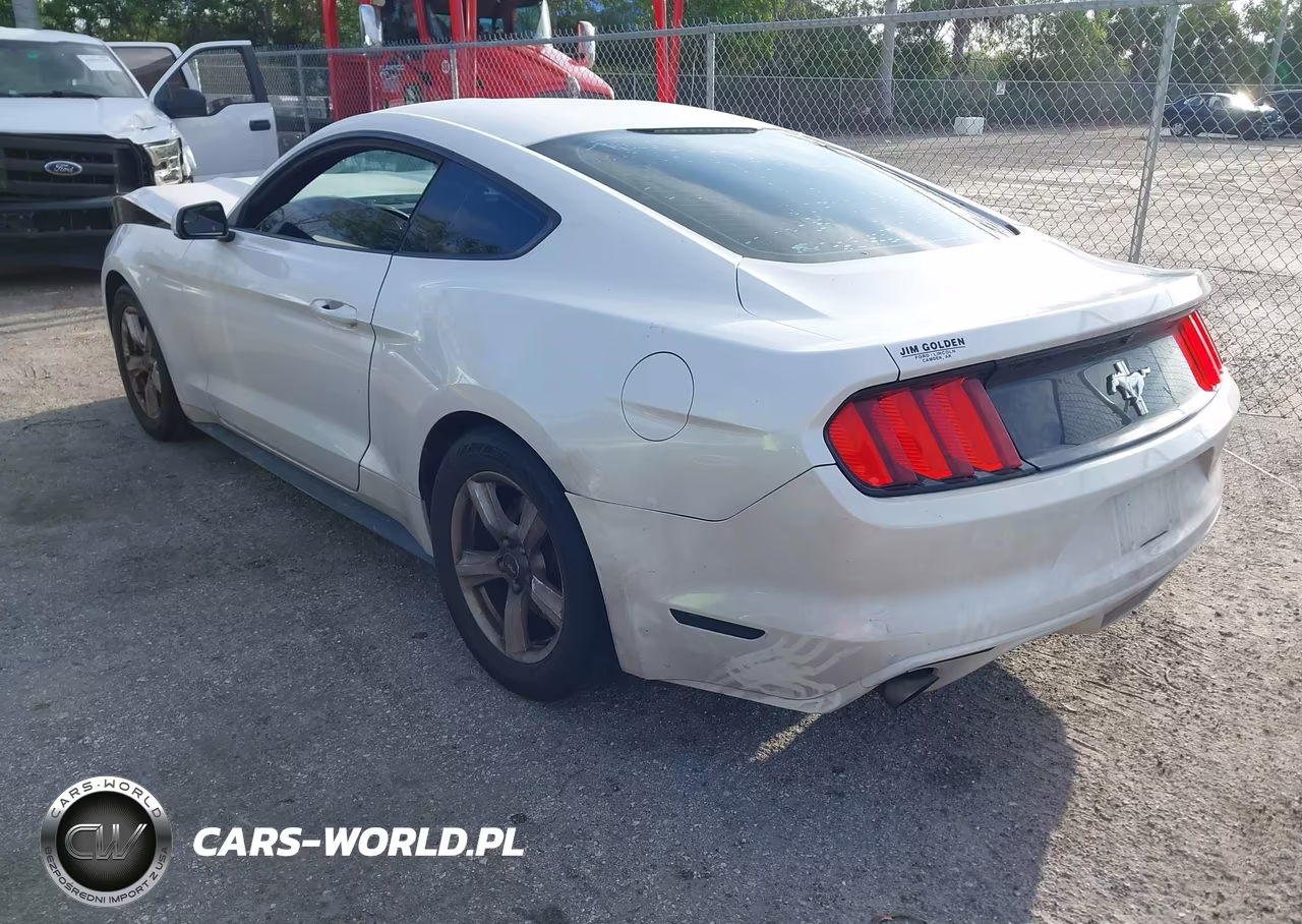 2017 Ford Mustang V6 VIN:1FA6P8AM9H5236656 - 3