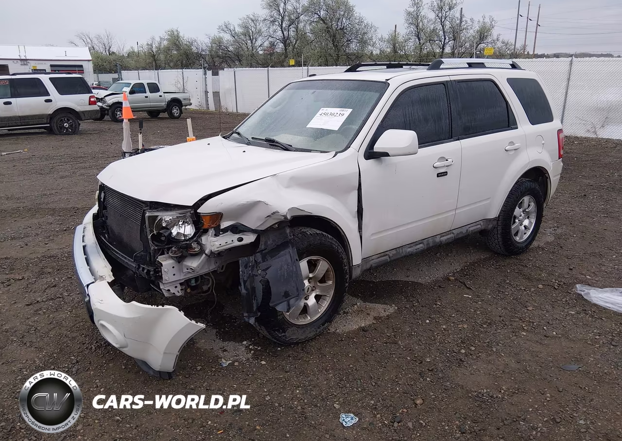 2009 Ford Escape Limited VIN:1FMCU04G19KC10578 - 2