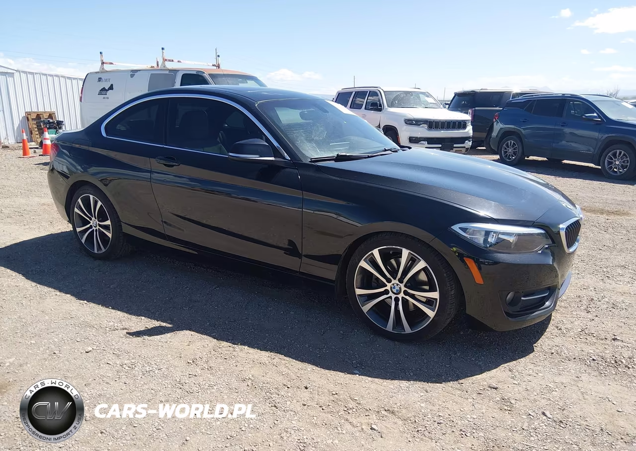 2016 BMW 228I