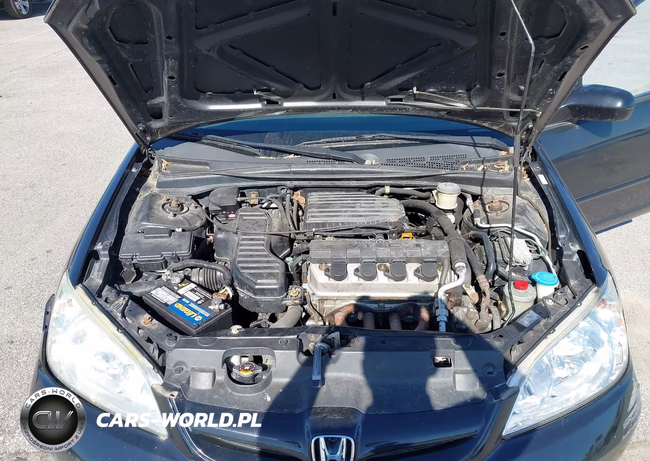 2004 Honda Civic Ex VIN:1HGES26784L018087 - 10