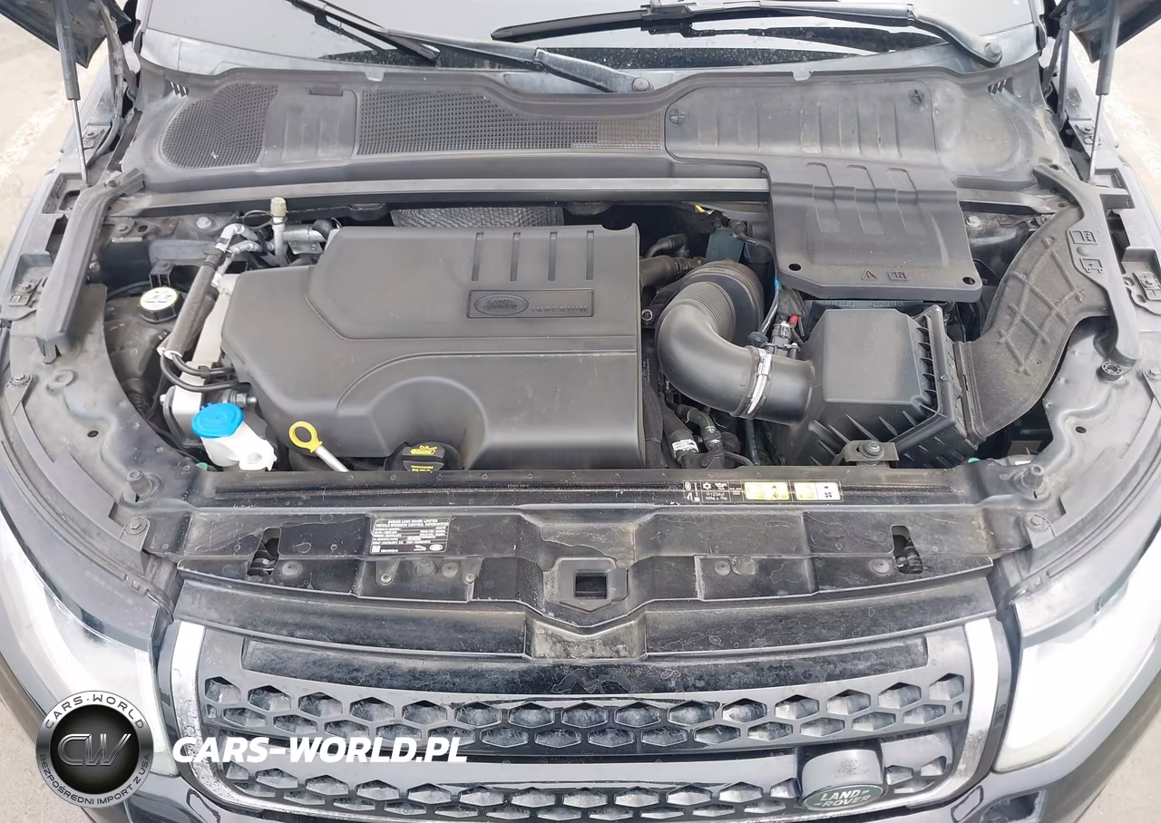 2019 Land Rover Range Rover Evoque Se-Se Premium VIN:SALVP2RX6KH346810 - 10