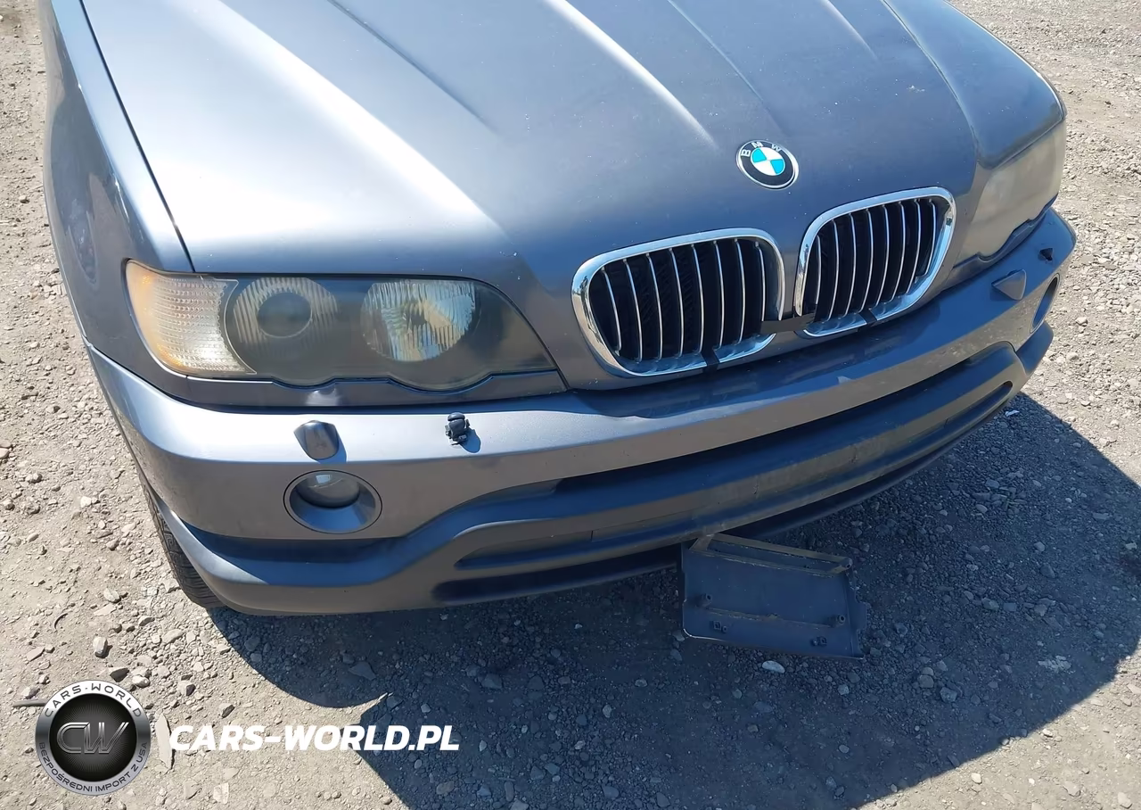 2003 BMW X5 3.0I VIN:5UXFA535X3LV95646 - 6