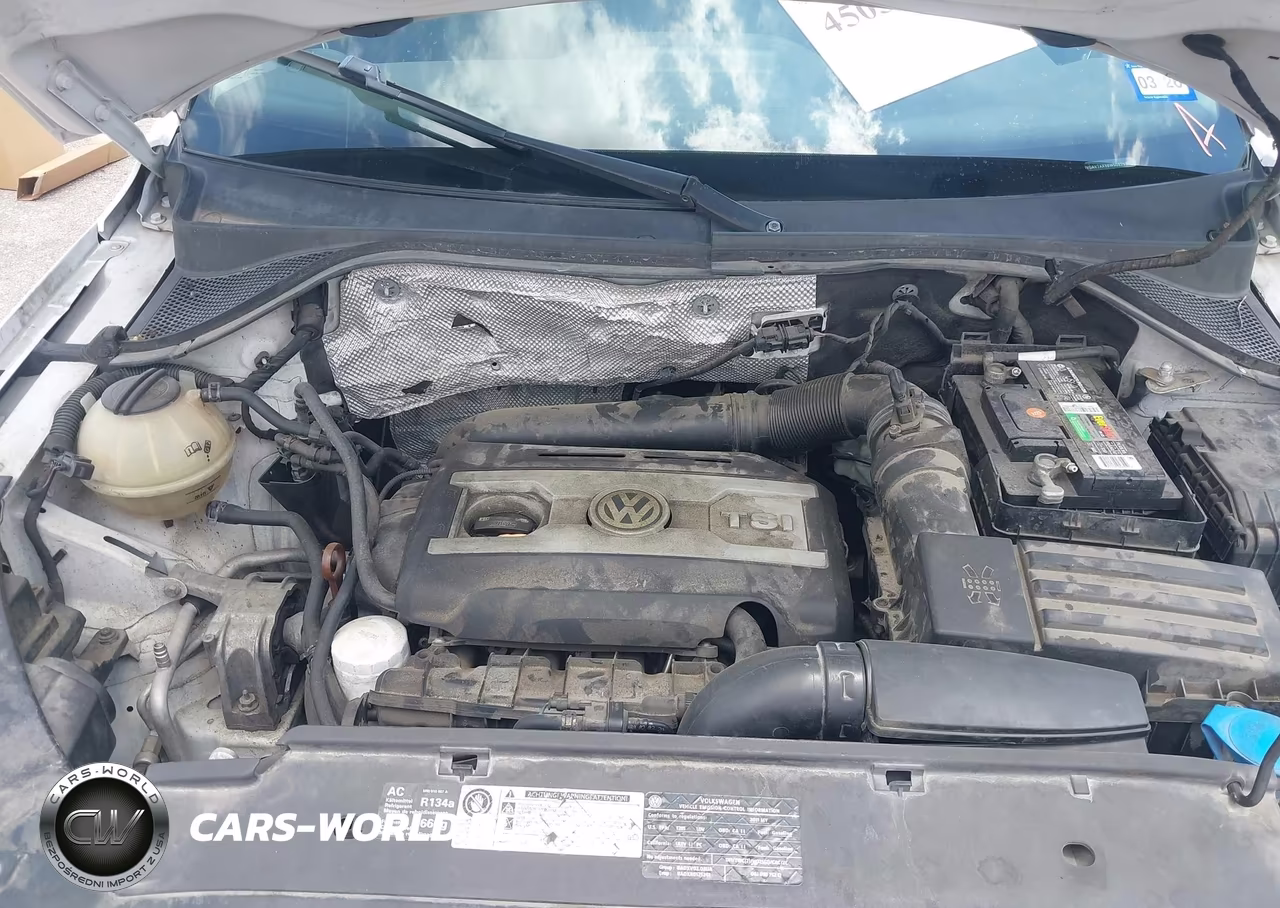 2011 Volkswagen Tiguan Se VIN:WVGAV7AX9BW505797 - 10