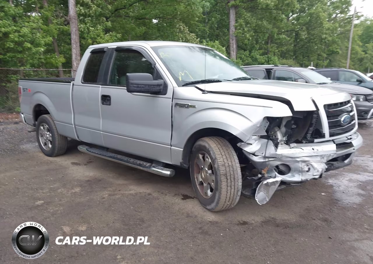 2009 Ford F-150 Stx-Xl