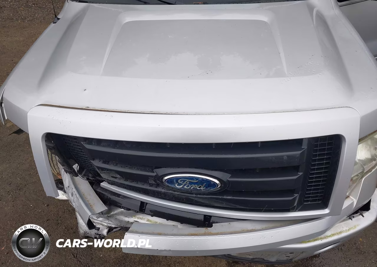 2009 Ford F-150 Stx-Xl VIN:1FTRX12W39KC73994 - 10