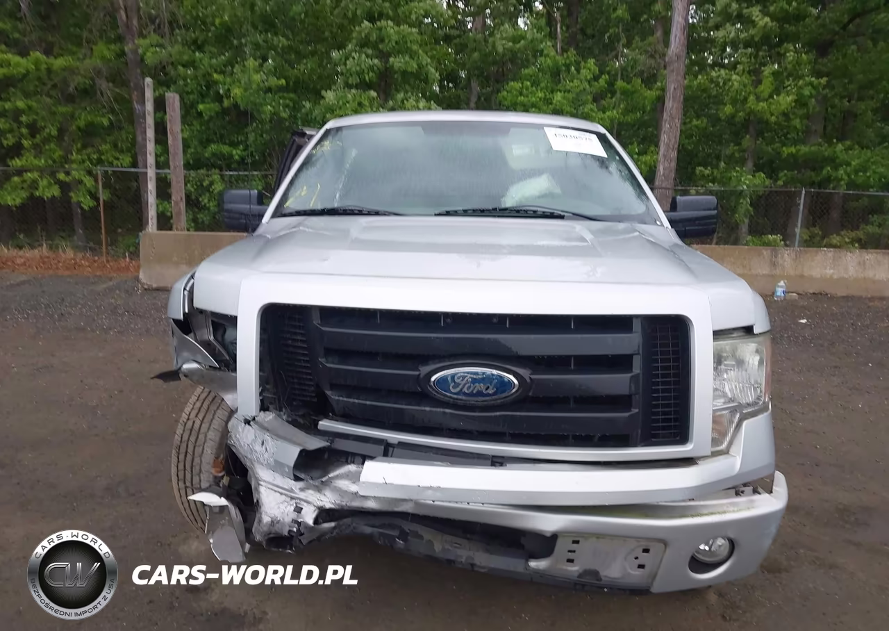 2009 Ford F-150 Stx-Xl VIN:1FTRX12W39KC73994 - 12