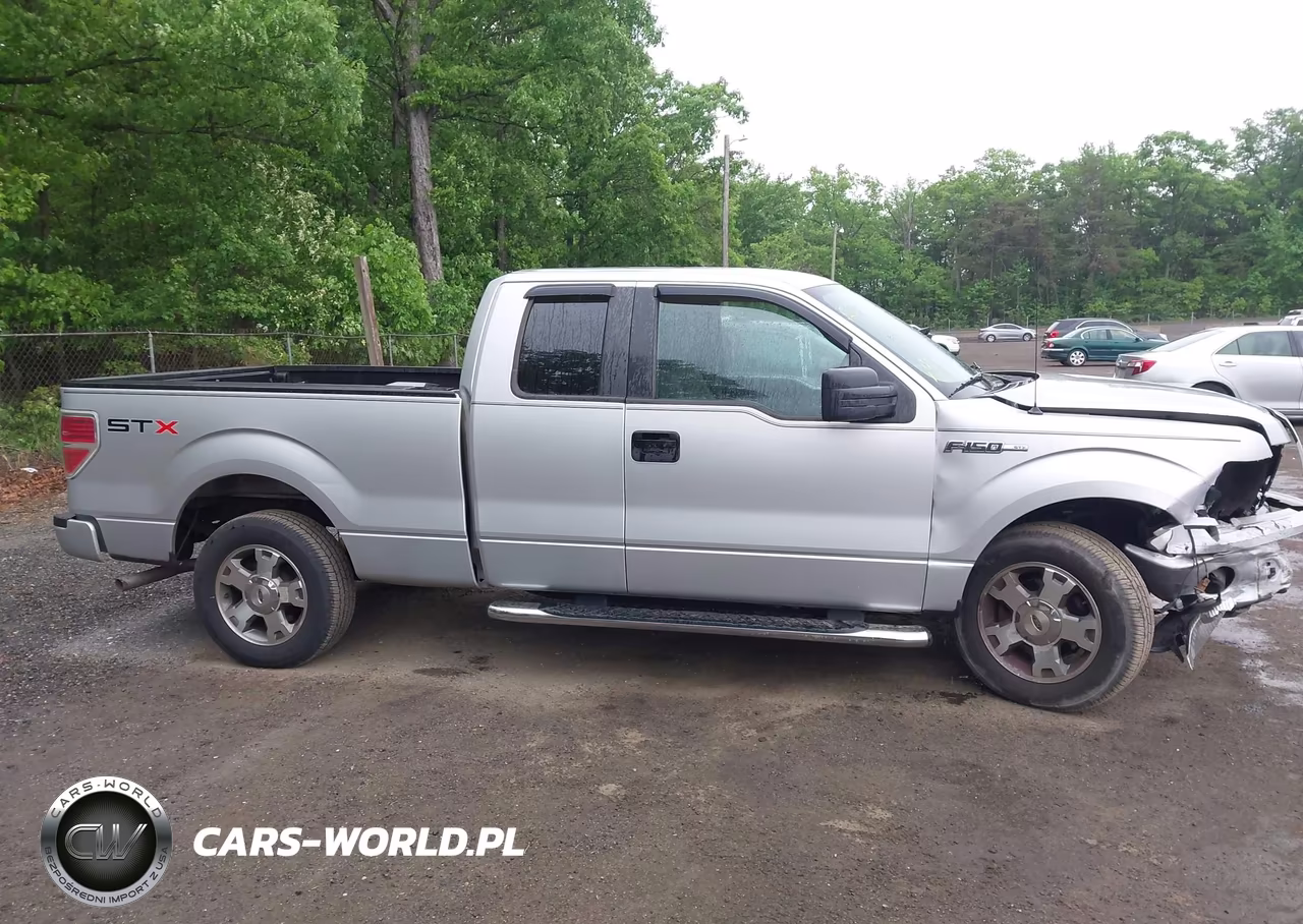 2009 Ford F-150 Stx-Xl VIN:1FTRX12W39KC73994 - 13