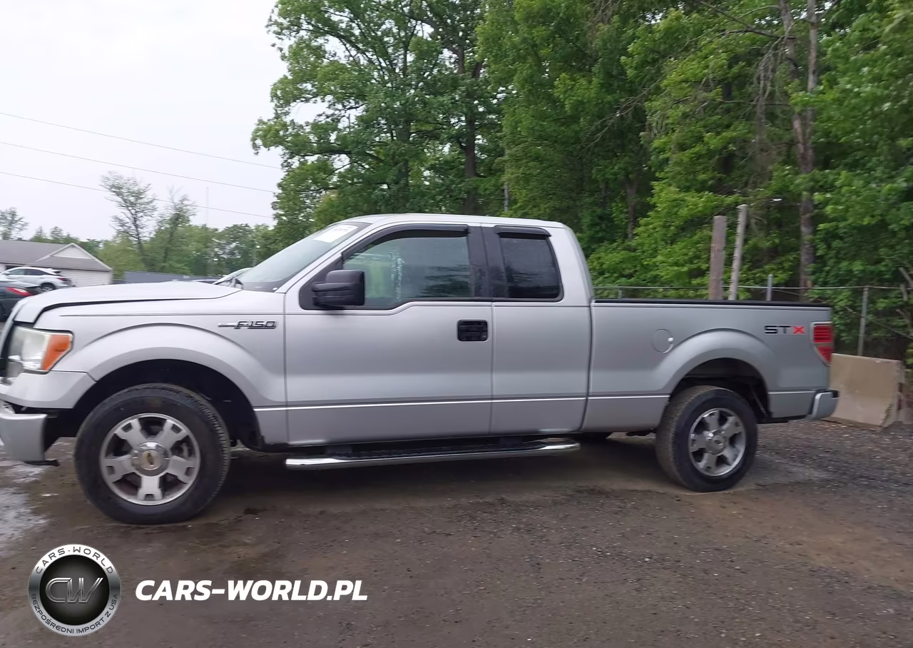 2009 Ford F-150 Stx-Xl VIN:1FTRX12W39KC73994 - 14