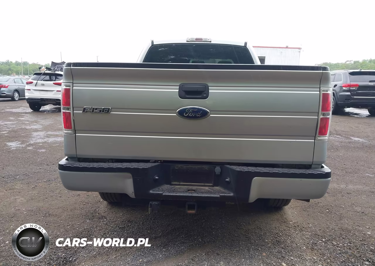 2009 Ford F-150 Stx-Xl VIN:1FTRX12W39KC73994 - 16