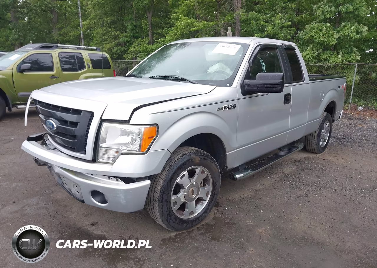 2009 Ford F-150 Stx-Xl VIN:1FTRX12W39KC73994 - 2