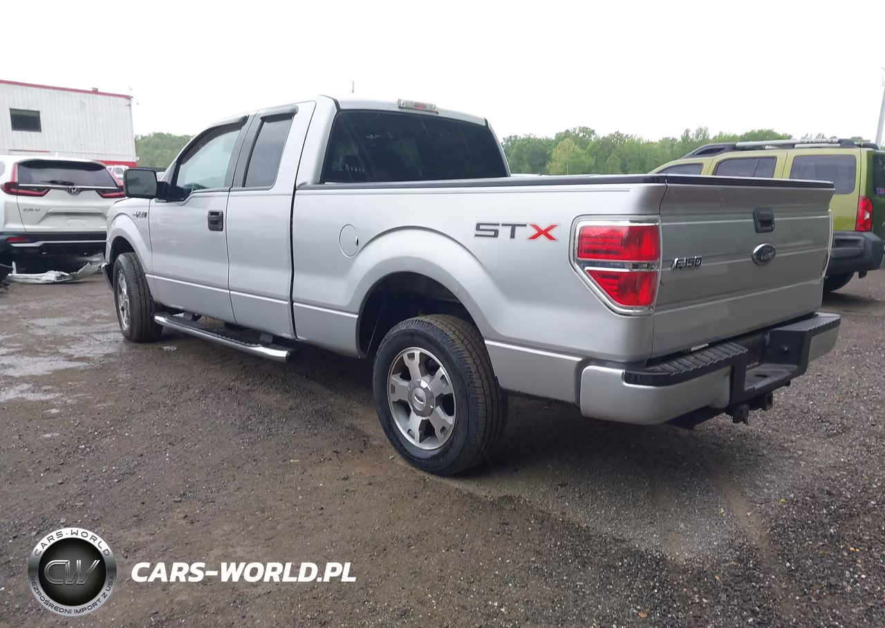2009 Ford F-150 Stx-Xl VIN:1FTRX12W39KC73994 - 3
