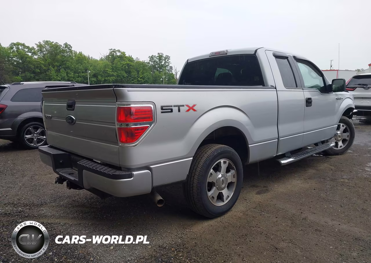 2009 Ford F-150 Stx-Xl VIN:1FTRX12W39KC73994 - 4