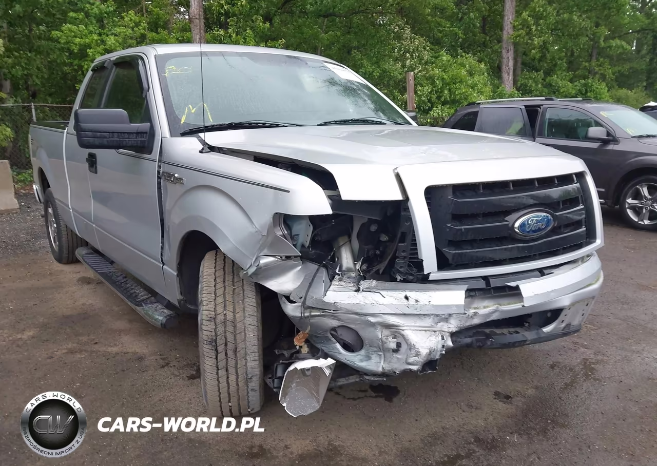 2009 Ford F-150 Stx-Xl VIN:1FTRX12W39KC73994 - 6