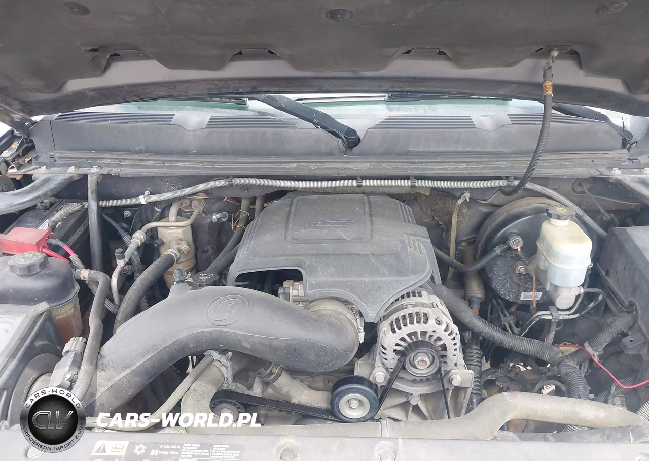 2010 Chevrolet Silverado 1500 Lt VIN:1GCSKSE3XAZ166069 - 10