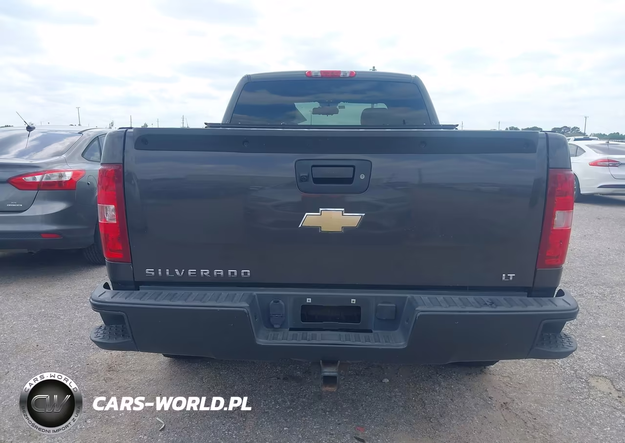 2010 Chevrolet Silverado 1500 Lt VIN:1GCSKSE3XAZ166069 - 16