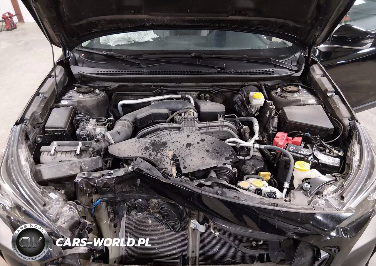 2024 Subaru Outback Premium VIN:4S4BTAFC0R3196651 - 10