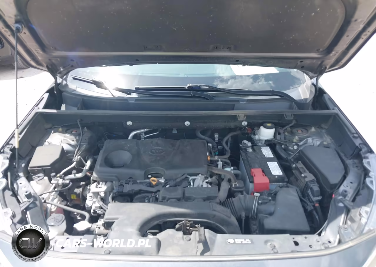 2020 Toyota Rav4 Xle VIN:2T3P1RFV9LC078197 - 10