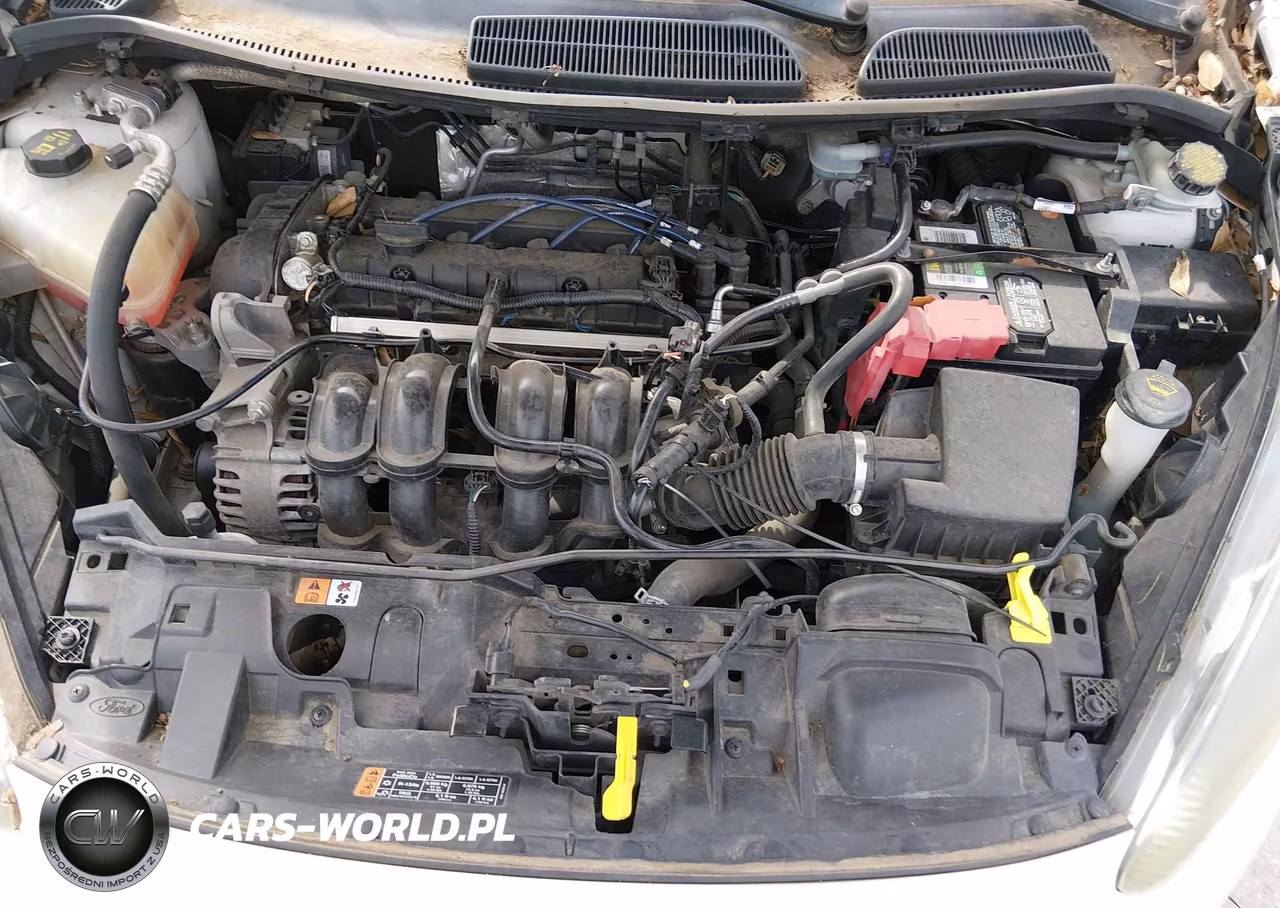 2016 Ford Fiesta Se VIN:3FADP4BJ1GM158208 - 10