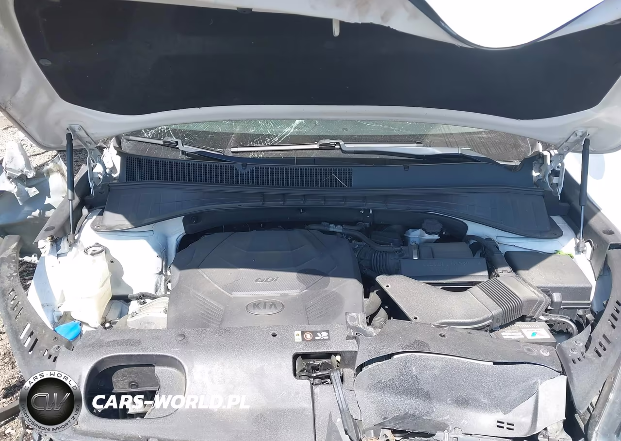 2019 Kia Sorento 3.3L Lx VIN:5XYPGDA58KG480894 - 10