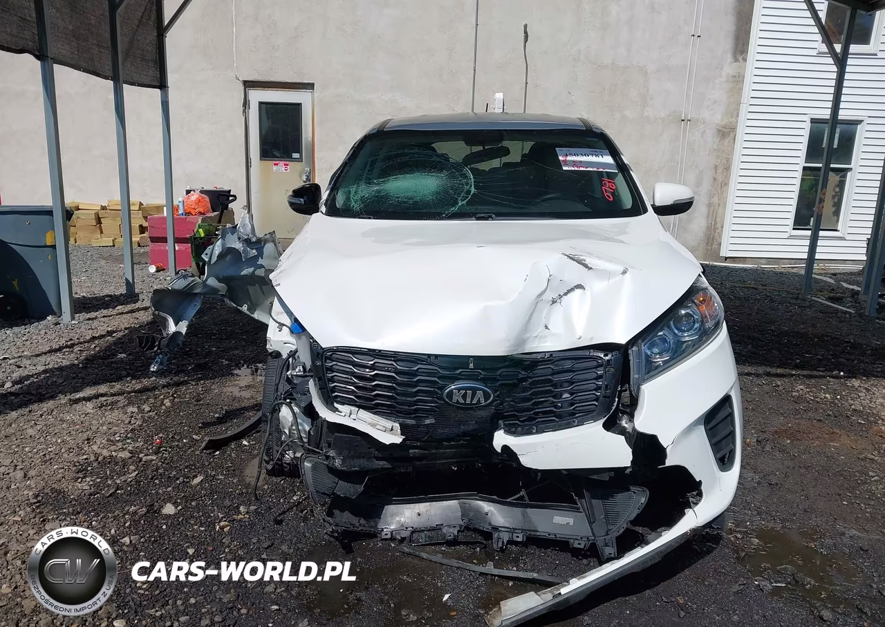 2019 Kia Sorento 3.3L Lx VIN:5XYPGDA58KG480894 - 12
