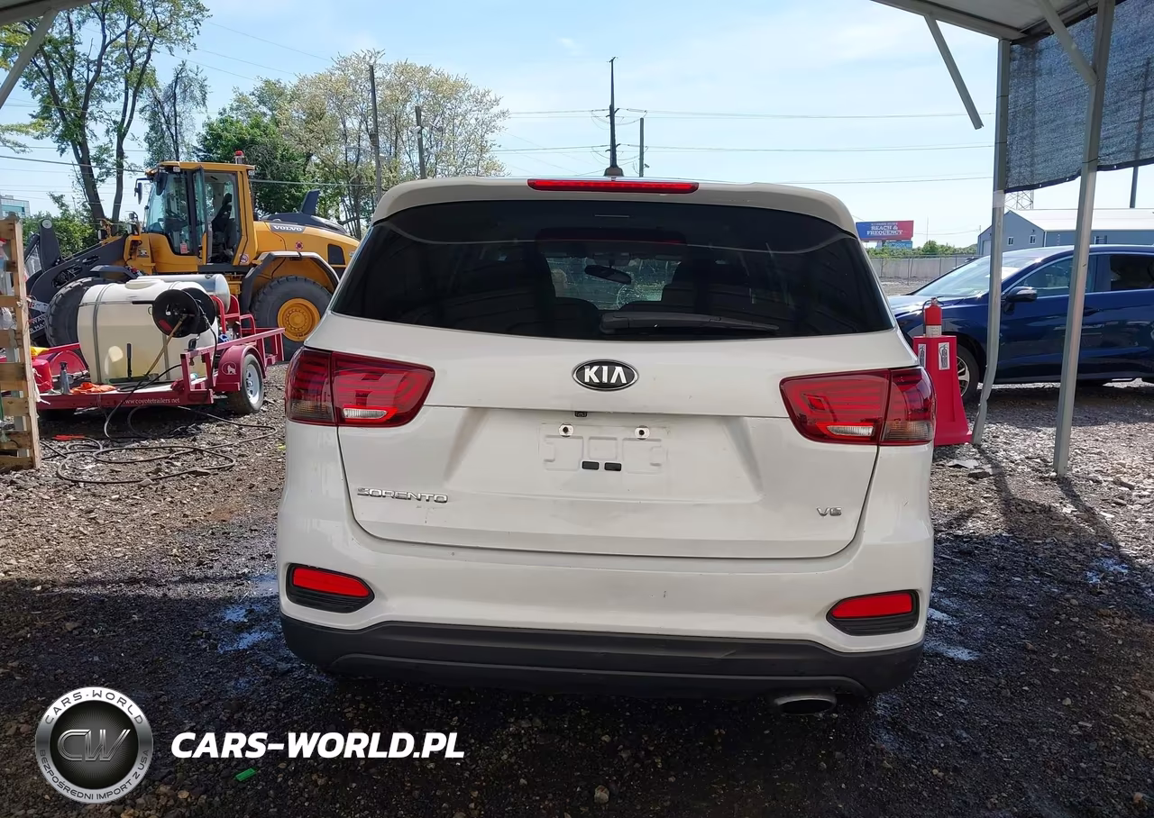 2019 Kia Sorento 3.3L Lx VIN:5XYPGDA58KG480894 - 16