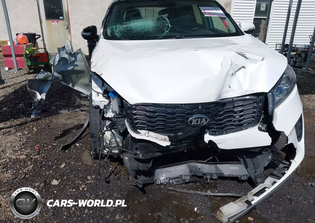 2019 Kia Sorento 3.3L Lx VIN:5XYPGDA58KG480894 - 17