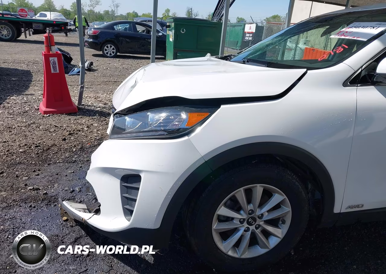 2019 Kia Sorento 3.3L Lx VIN:5XYPGDA58KG480894 - 18