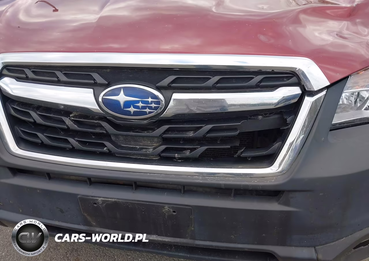 2017 Subaru Forester 2.5I VIN:JF2SJABCXHH516738 - 17