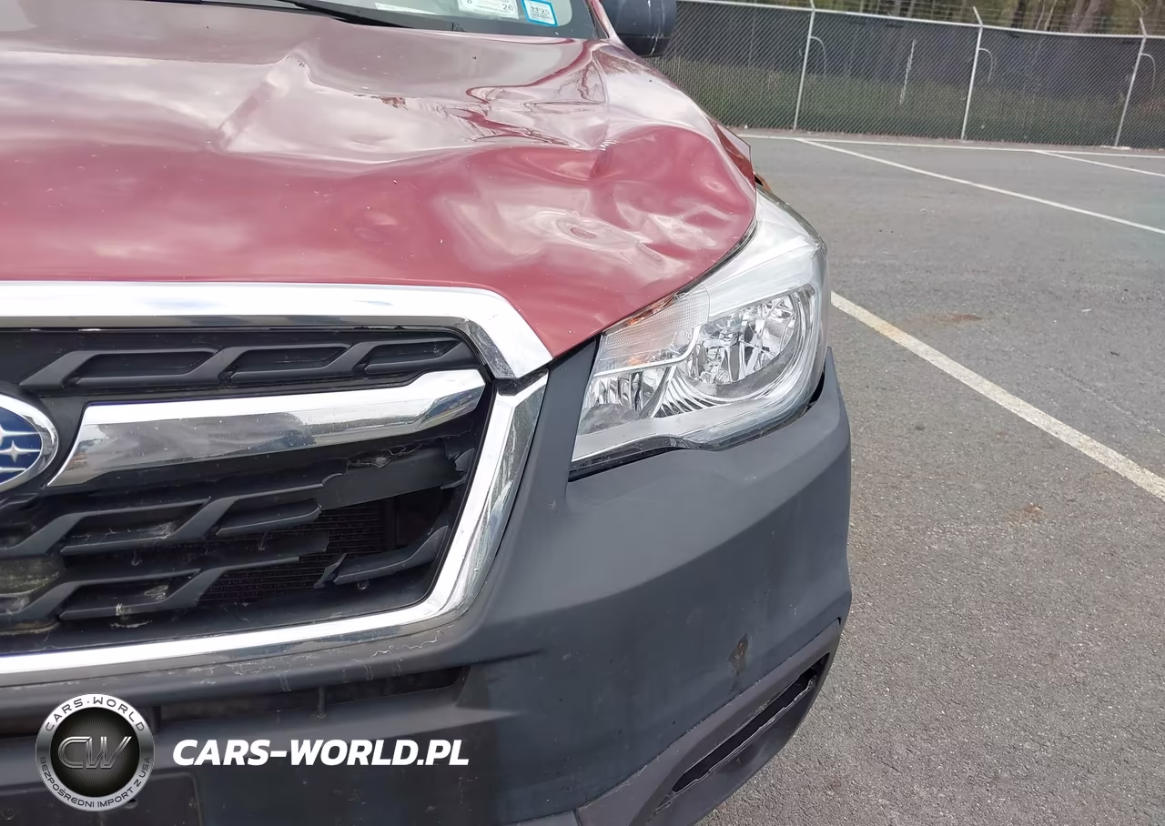 2017 Subaru Forester 2.5I VIN:JF2SJABCXHH516738 - 18