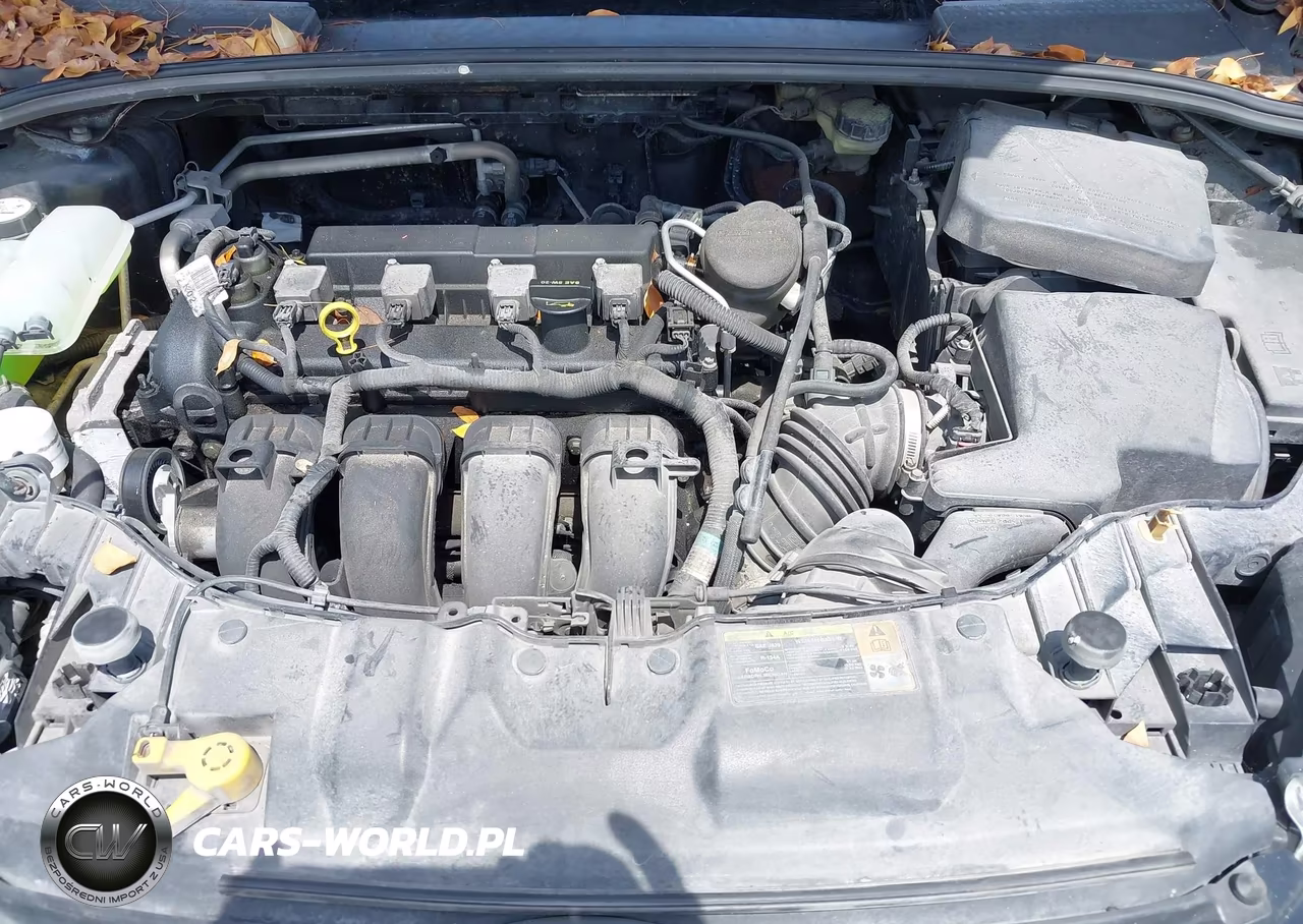 2012 Ford Focus Se VIN:1FAHP3F28CL384918 - 10