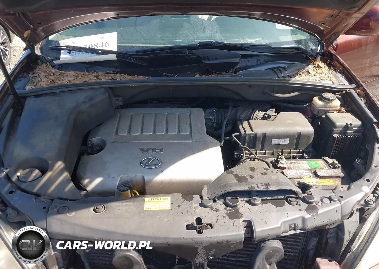 2008 Lexus Rx 350 VIN:JTJGK31U080012511 - 10