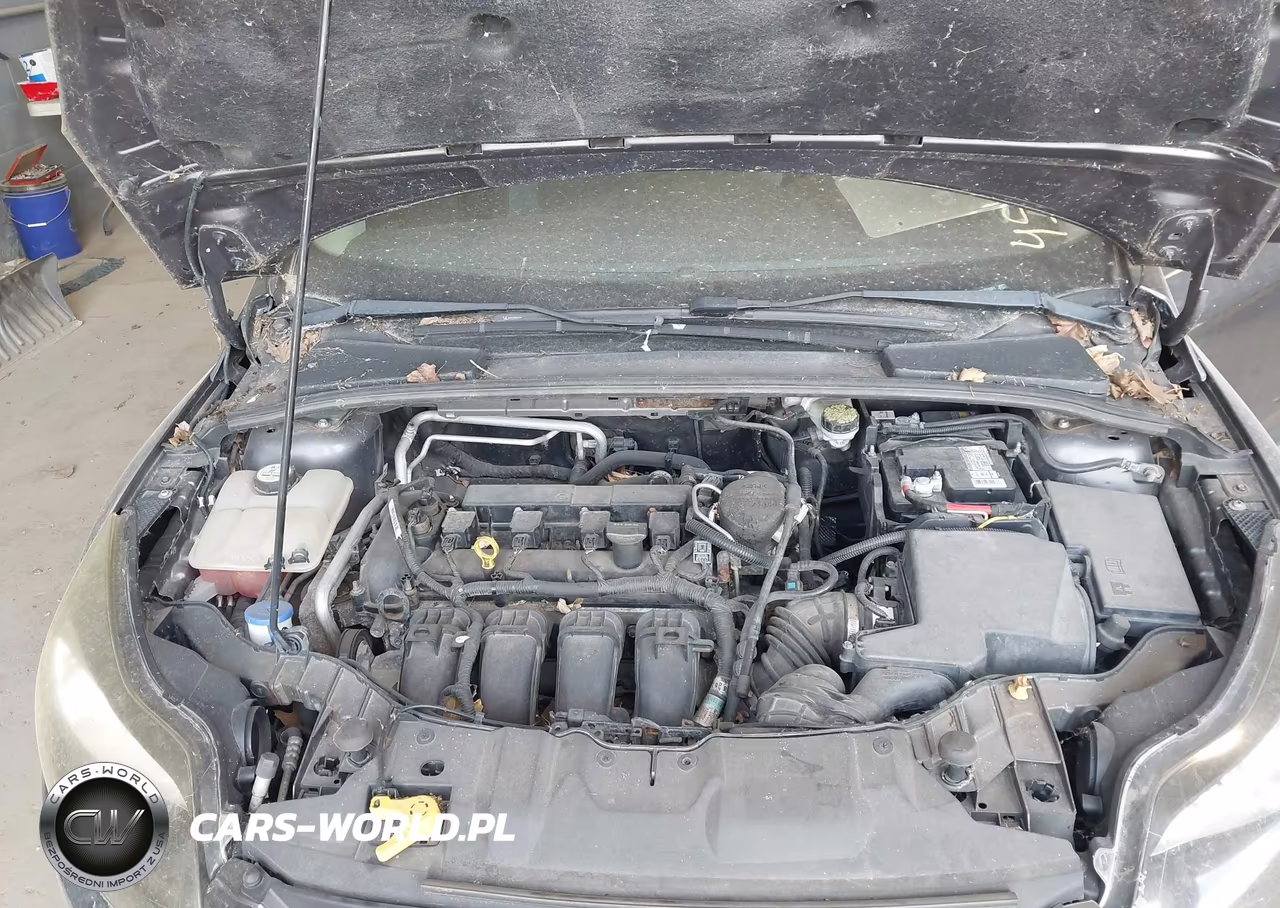2012 Ford Focus Se VIN:1FAHP3K21CL271561 - 10
