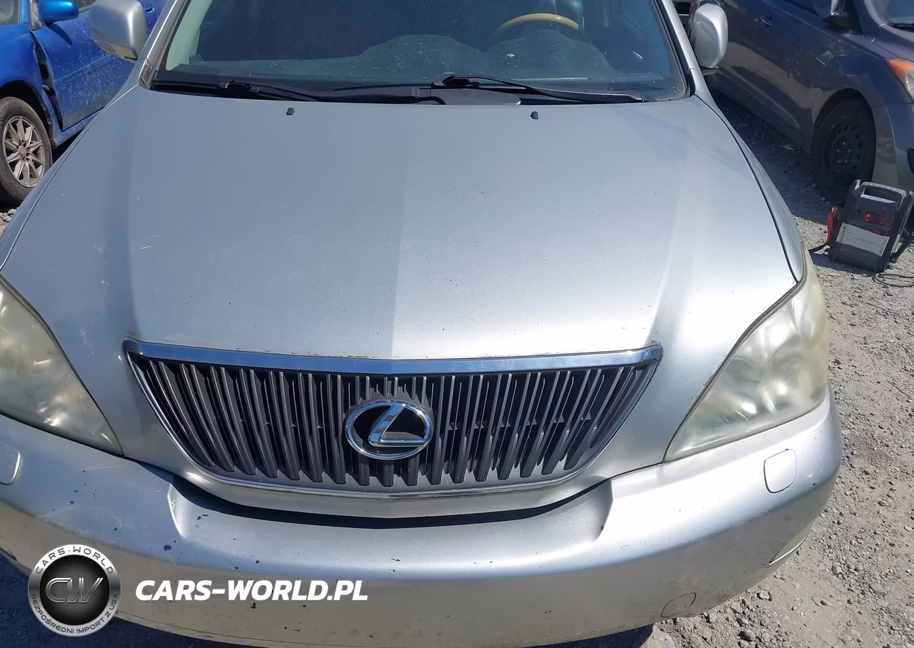 2007 Lexus Rx 350 VIN:2T2HK31U17C008183 - 10