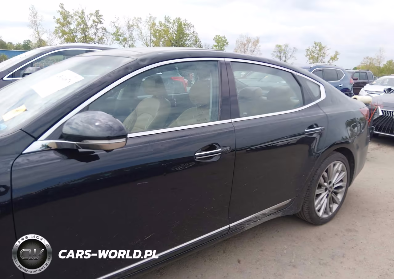 2020 Kia Cadenza Limited VIN:KNALC4J14L5236691 - 14