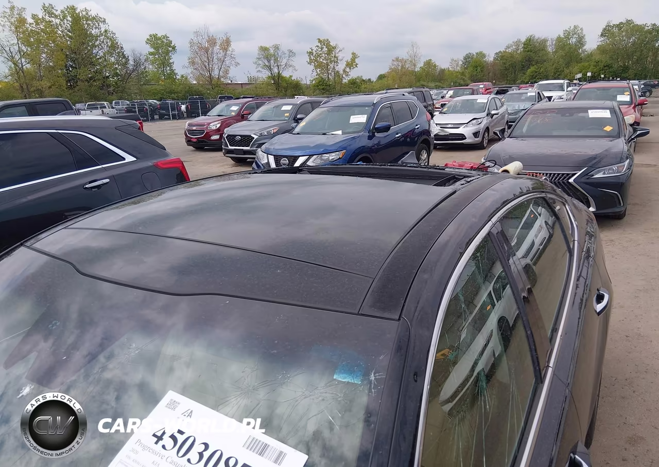 2020 Kia Cadenza Limited VIN:KNALC4J14L5236691 - 17