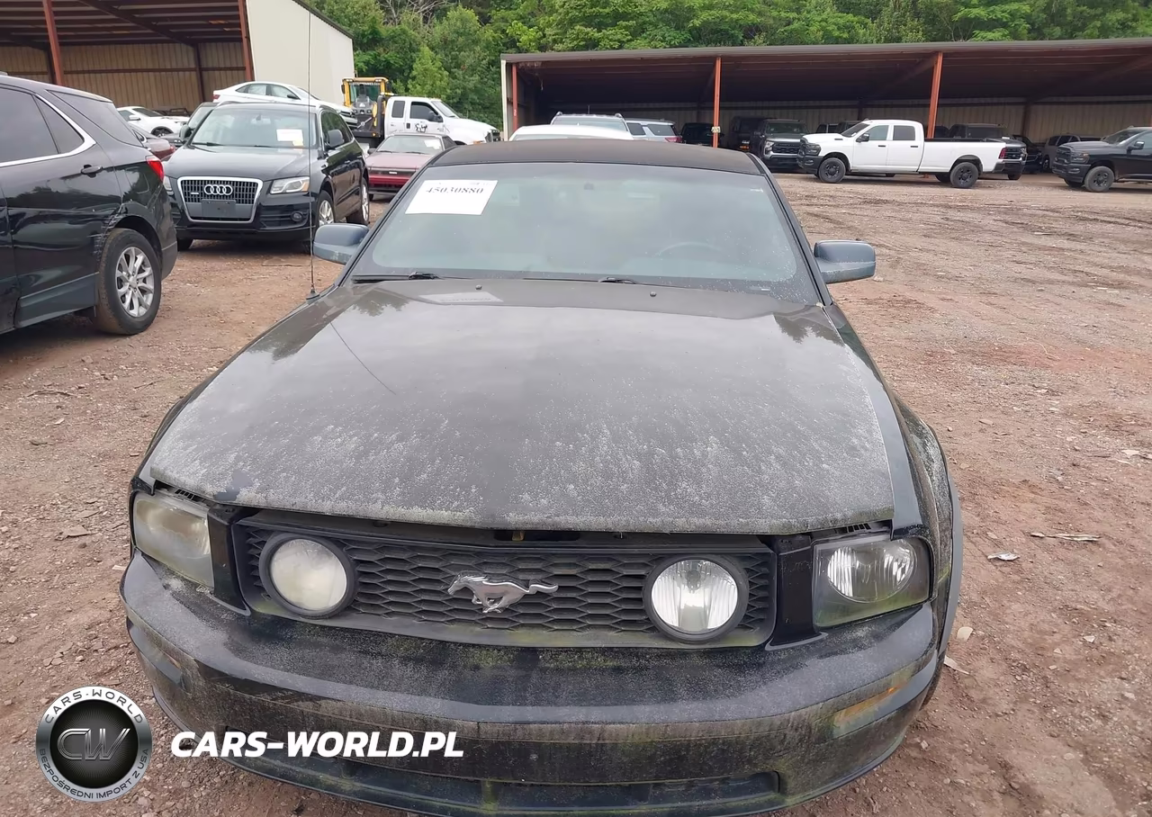 2006 Ford Mustang Gt VIN:1ZVFT82H365147554 - 12