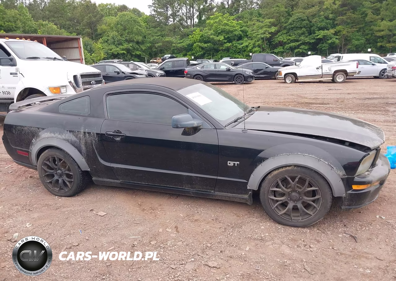 2006 Ford Mustang Gt VIN:1ZVFT82H365147554 - 13