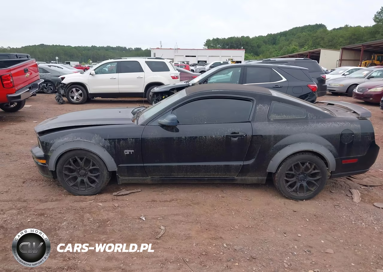 2006 Ford Mustang Gt VIN:1ZVFT82H365147554 - 14