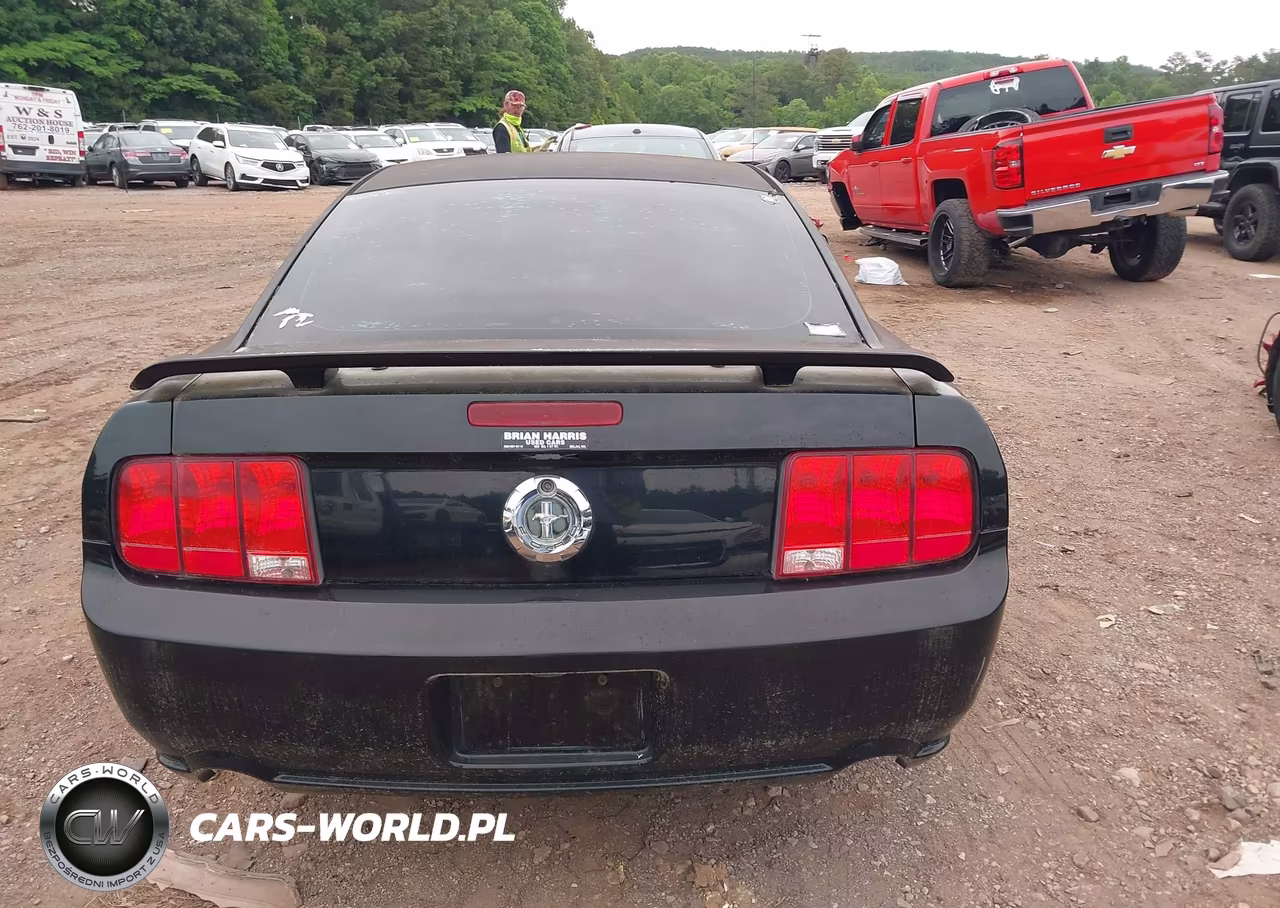 2006 Ford Mustang Gt VIN:1ZVFT82H365147554 - 16