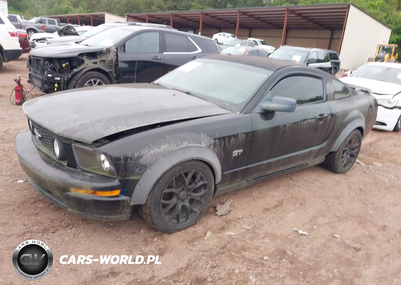2006 Ford Mustang Gt VIN:1ZVFT82H365147554 - 2
