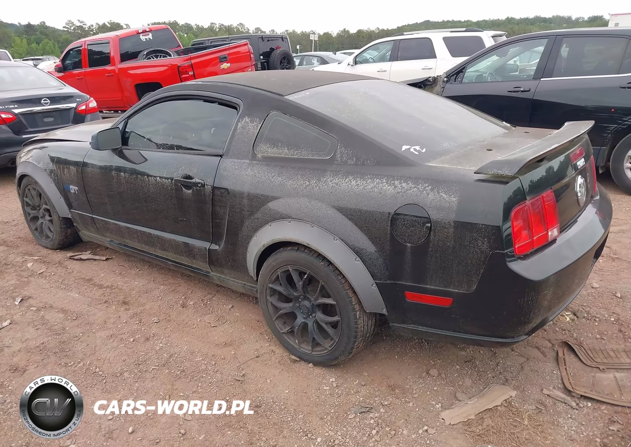 2006 Ford Mustang Gt VIN:1ZVFT82H365147554 - 3